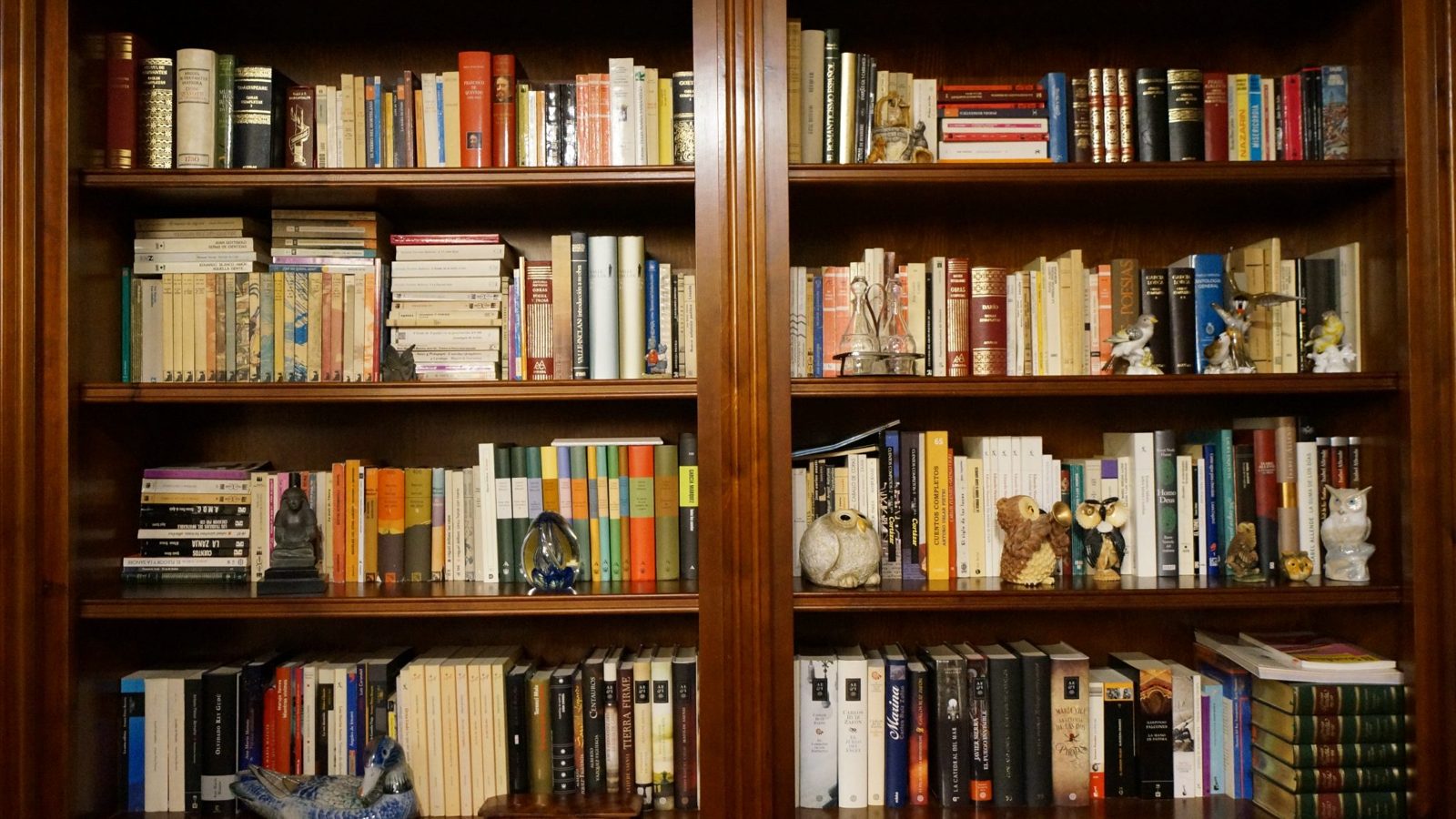 Bibliothèque en bois remplie de livres et objets déco