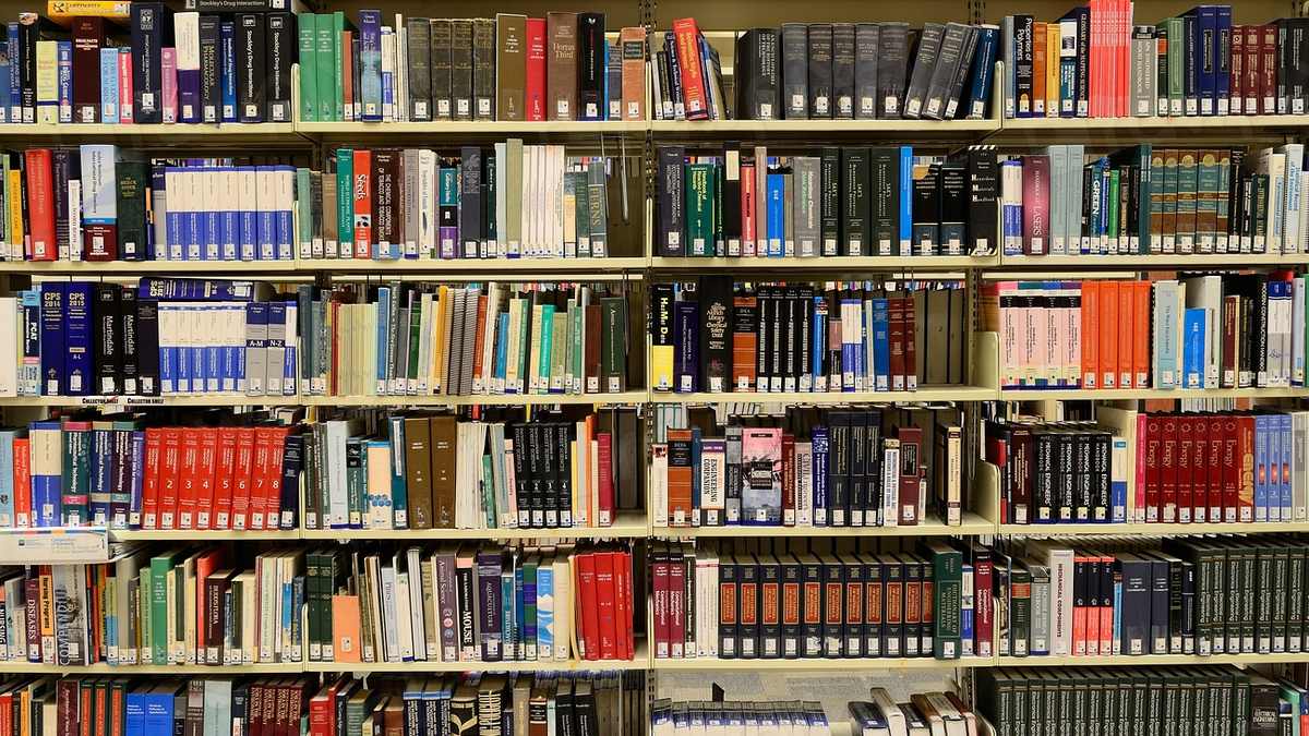 Étagères garnies de livres et de boîtes dans un salon
