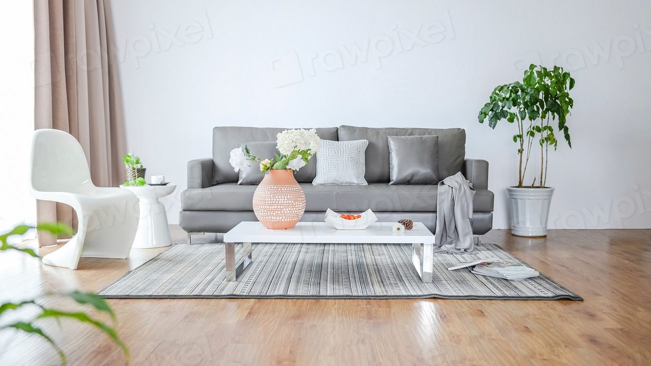 Petit salon épuré avec rangements bas et plantes